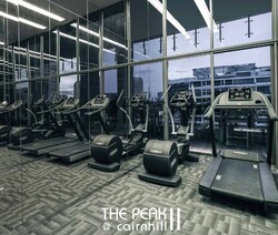 The Peak @ Cairnhill II (D9), Apartment #315438421